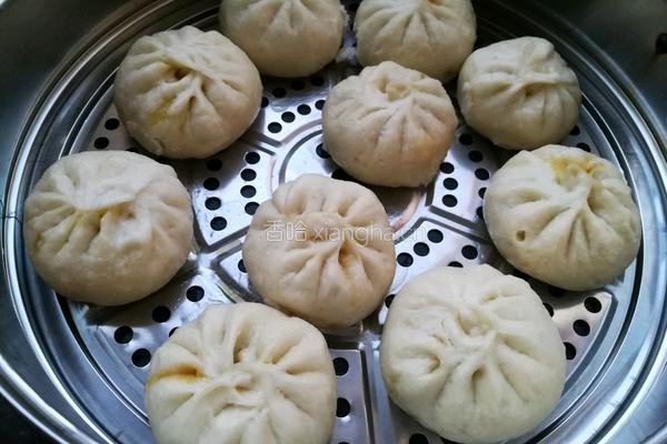 韭菜鸡蛋肉包子的做法图解10