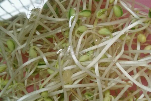 上饶小吃圆圆粿的做法图解4