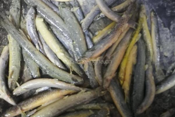 香煎泥鳅的做法图解4