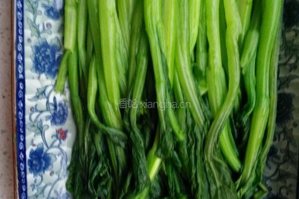 白灼菜心的做法图解6