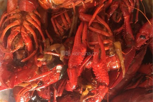 香辣大龙虾的做法图解5