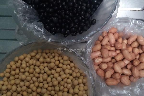 花生黑豆豆浆的做法图解1
