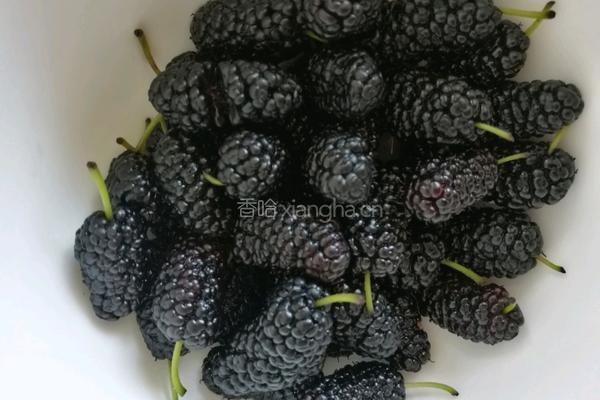 思慕雪的做法图解1