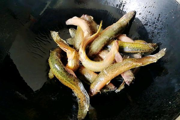泥鳅豆腐汤的做法图解2