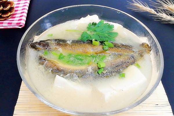 泥鳅豆腐汤的做法图解10