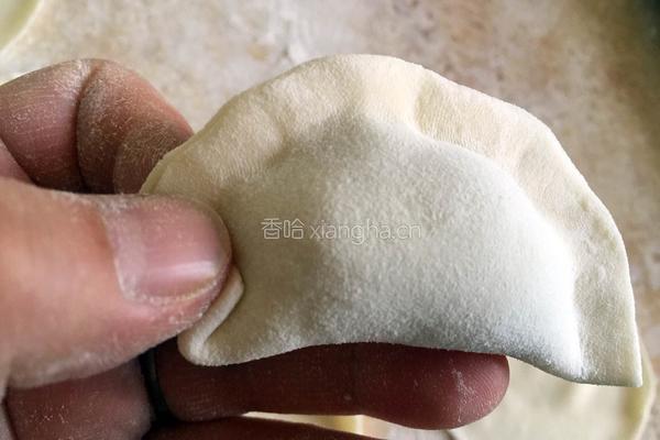 花边饺子（猪肉韭菜馅儿）的做法图解9