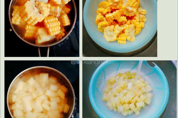 土豆玉米排骨的做法图解3