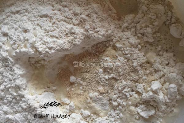 麦穗包子(牛肉萝卜馅儿)的做法图解2