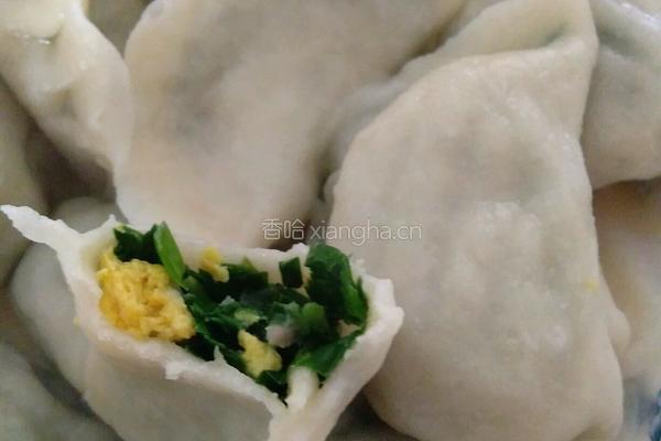 韭菜鸡蛋馅饺子的做法图解7