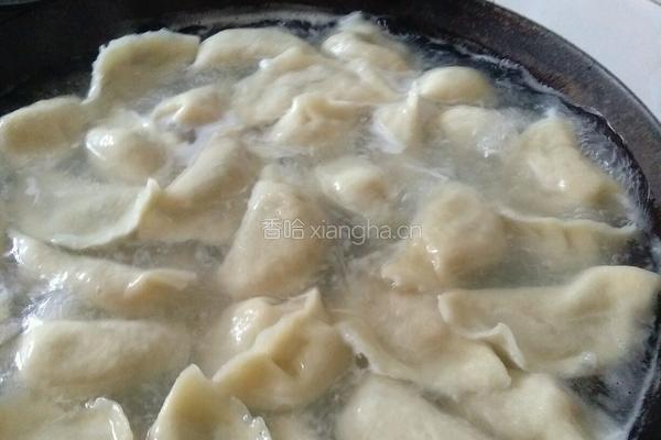 韭菜鸡蛋馅饺子的做法图解6