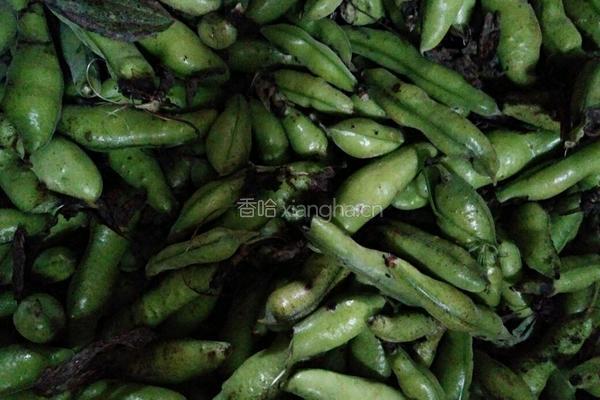 酸菜洋芋蚕豆汤的做法图解1