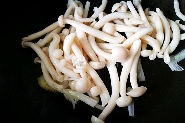 「Cathy边吃边营养」海鲜菇丸子靓汤的做法图解10