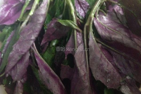 凉拌观音菜的做法图解1
