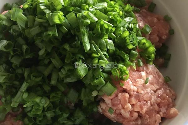 自制肉丸馄饨的做法图解1