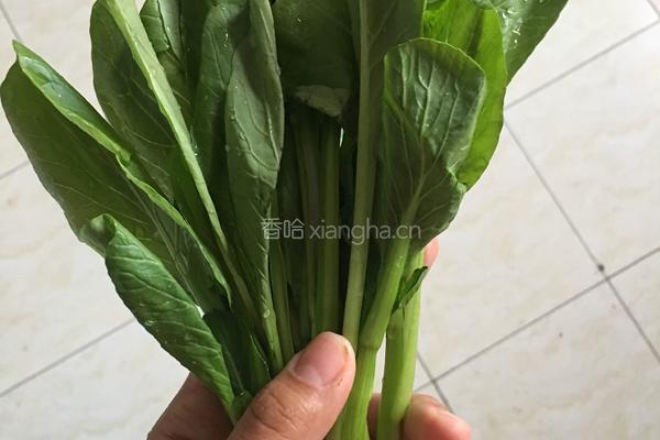 自制肉丸馄饨的做法图解4