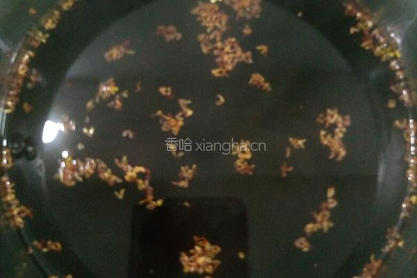 酸梅汤的做法图解5
