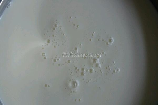 手工做新鲜的意大利里科塔乳清奶酪(纯乳清奶酪)乳清芝士的做法图解1