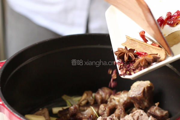 番茄牛腩的做法图解9