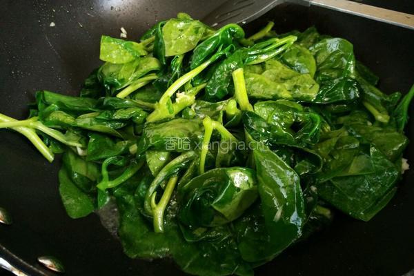蒜泥炒木耳菜的做法图解4