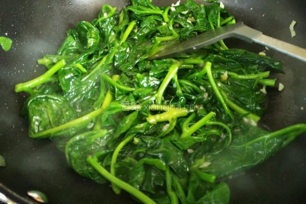 蒜泥炒木耳菜的做法图解5