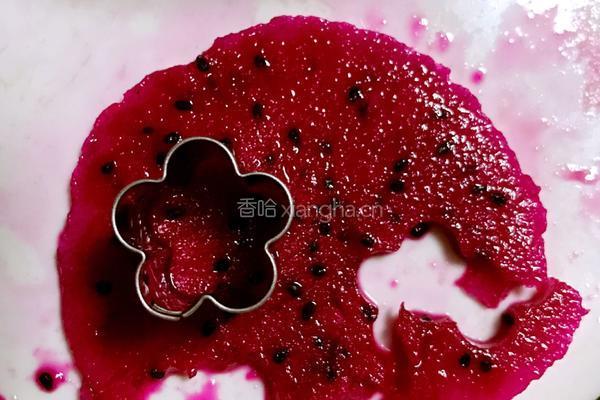 火龙果树的做法图解2