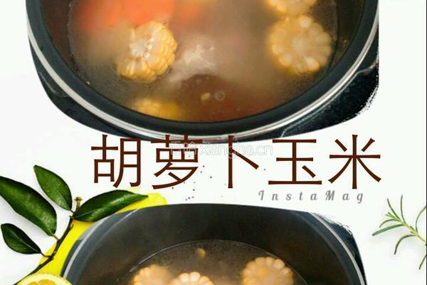 胡萝卜玉米炖筒骨汤的做法图解4
