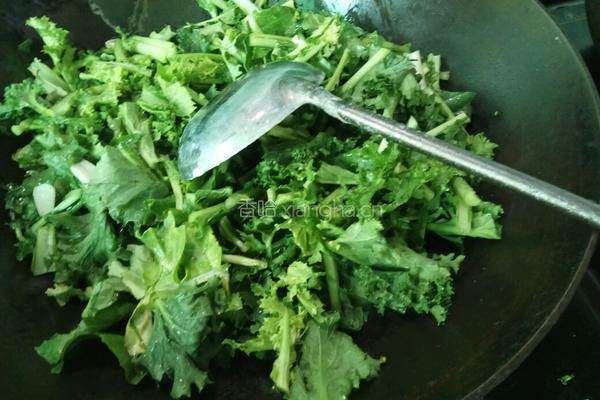 老屋私房菜清炒苔菜的做法图解6