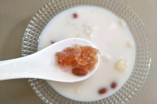 牛奶桃胶的做法图解4