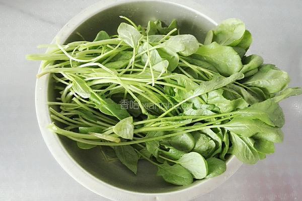 菠菜蛋花汤的做法图解1