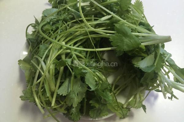 牛肉香菜馅儿的做法图解2