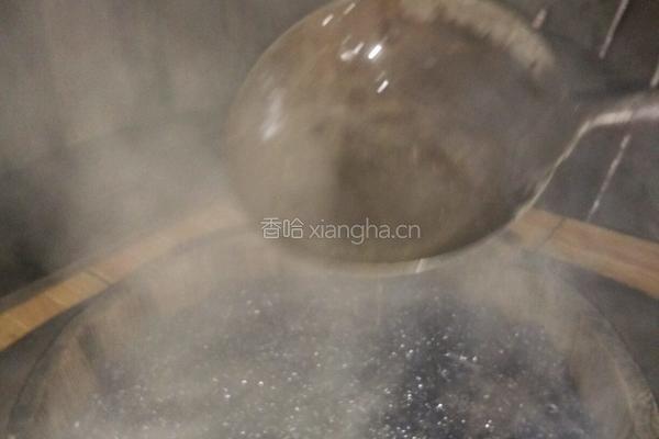 黑蚂蚁的做法图解14
