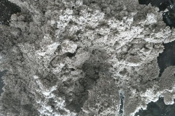 炸芝麻大汤圆的做法图解2
