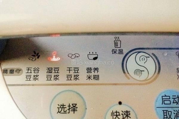 红枣枸杞豆浆的做法图解4