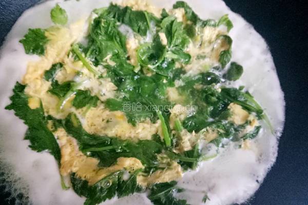 菊花脑蛋汤的做法图解6