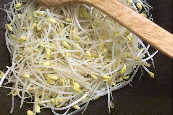 素炒豆芽菜的做法图解2