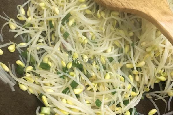 素炒豆芽菜的做法图解3