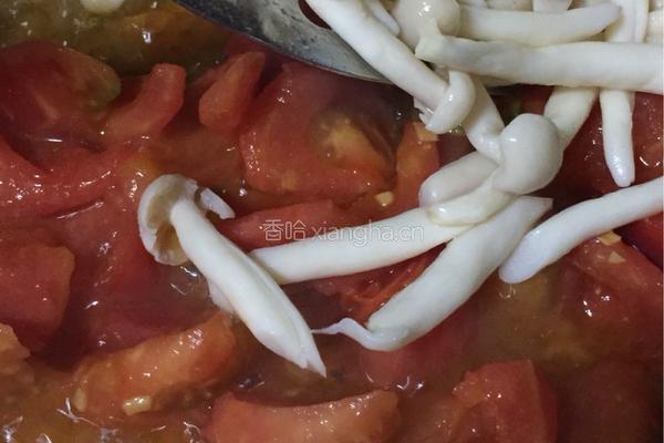 番茄炒海鲜菇的做法图解6