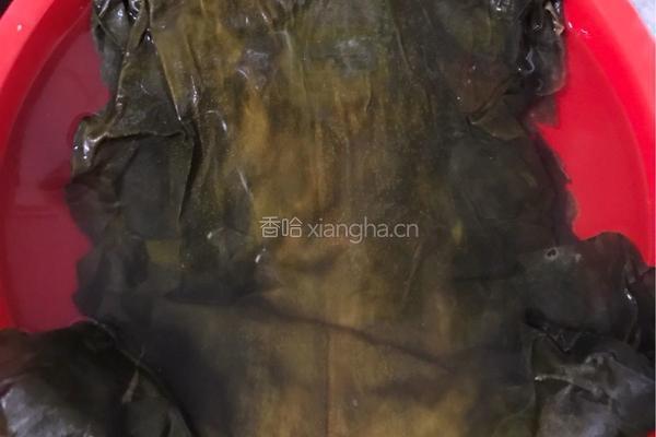 宠物海藻粉的做法图解2