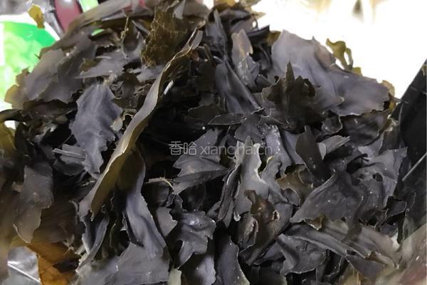 宠物海藻粉的做法图解4