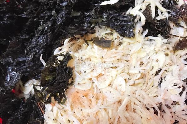 宠物海藻粉的做法图解5