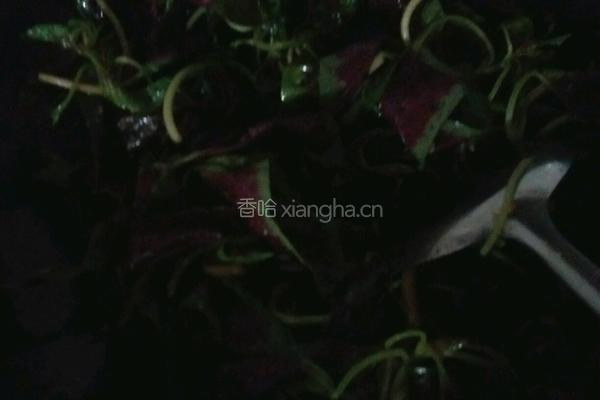 苋菜炒皮蛋的做法图解4