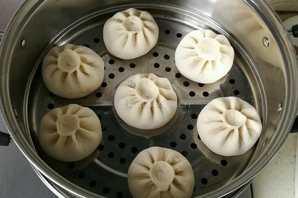 猪肉萝卜包子的做法图解21