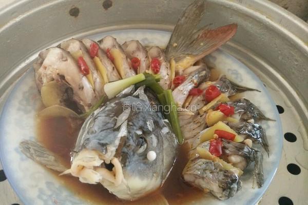 彩色鲤鱼