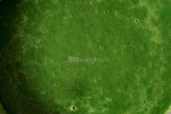 斑鸠叶豆腐的做法图解3