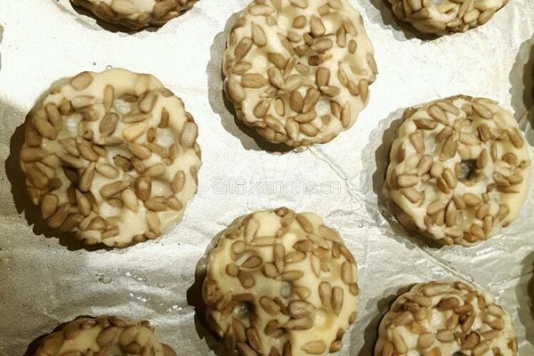 果仁小烙饼的做法图解10