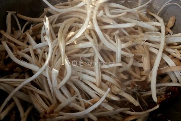 油炸茶树菇的做法图解3