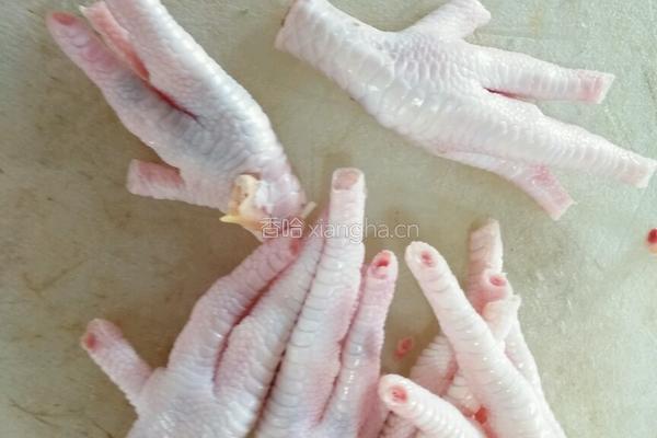 虎皮凤爪的做法图解2