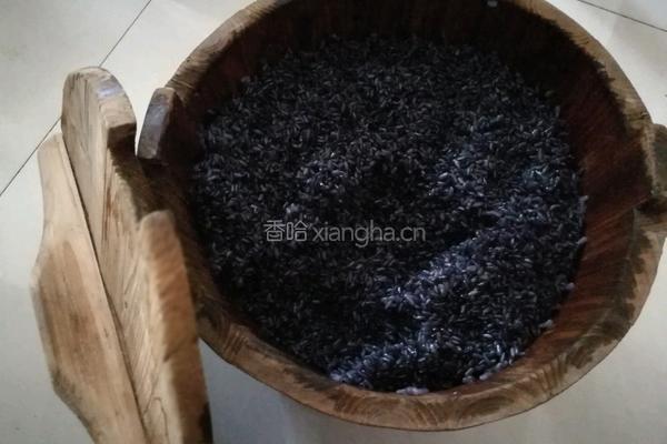 乌树饭的做法图解8