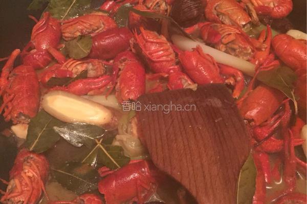 小龙虾的做法图解4