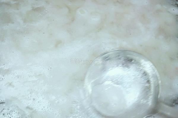 水晶肉皮冻的做法图解9